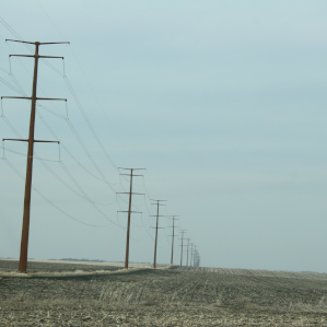 renewable energy