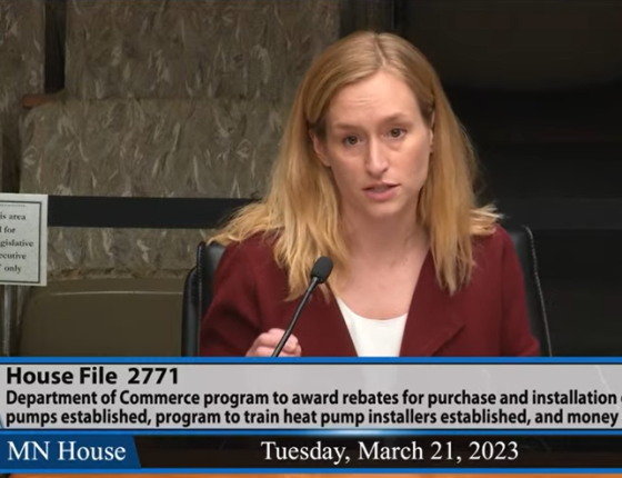 Audrey Partridge testimony to MN Legislature