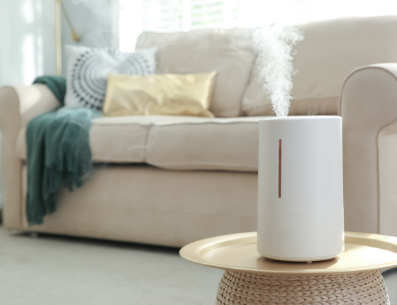 Humidifier maintaining ideal indoor humidity levels in a living room