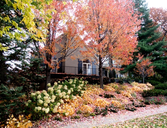 Twin Cities home photographed in fall