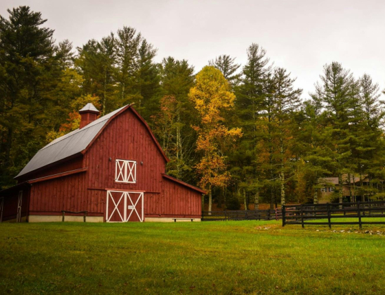 barn in field 