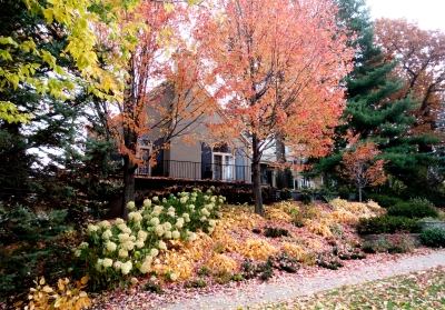 Twin Cities home photographed in fall