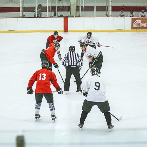 people playing hockey on ice arena