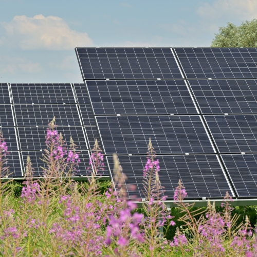 renewable