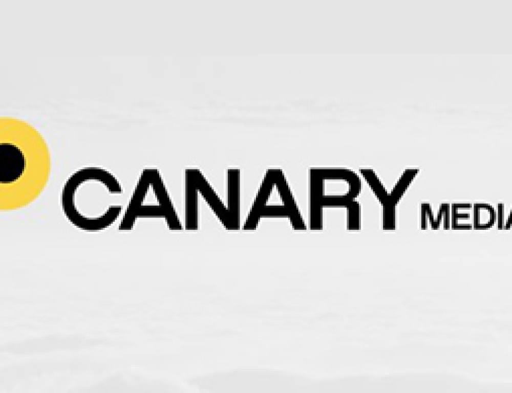canary