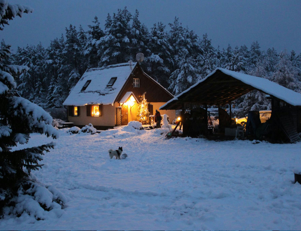 home covered in snow with dog outside