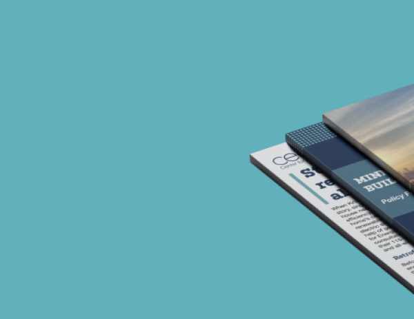 CEE reports and insight documents.