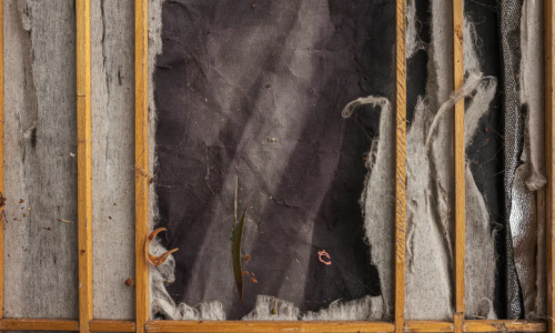 dwd