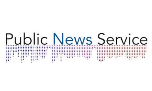 PNS logo