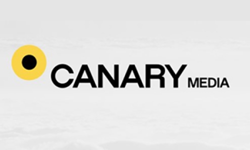 canary
