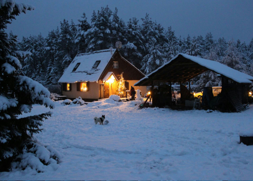 home covered in snow with dog outside