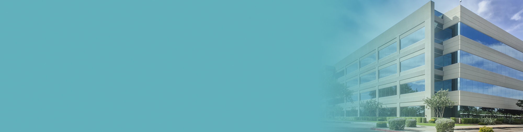 Business Energy Assessments
