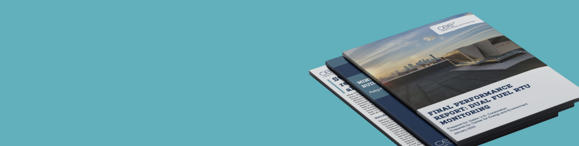 CEE reports and insight documents.