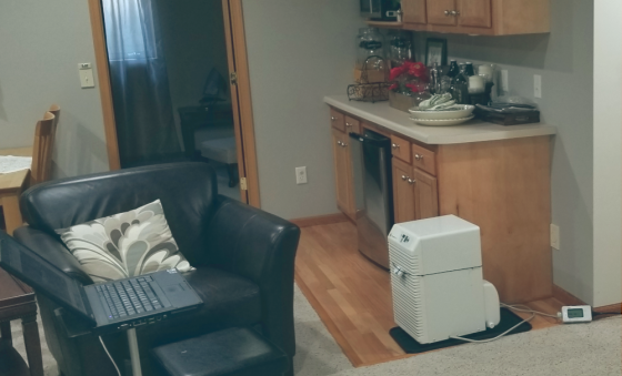 dehumidifier in basement