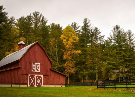 barn in field 